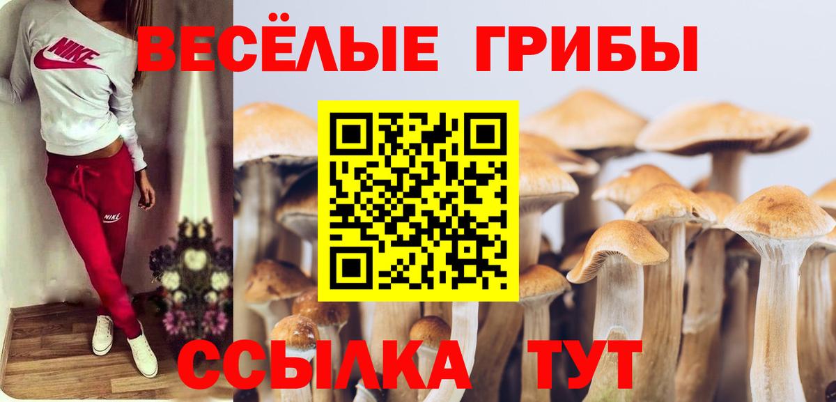 Видное  Галлюциногенные грибы мухоморы  Вход с VPN 