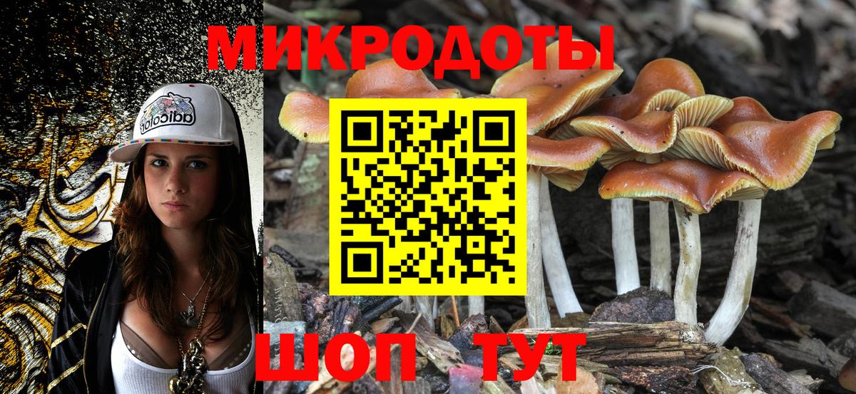 Галлюциногенные грибы мицелий Видное
