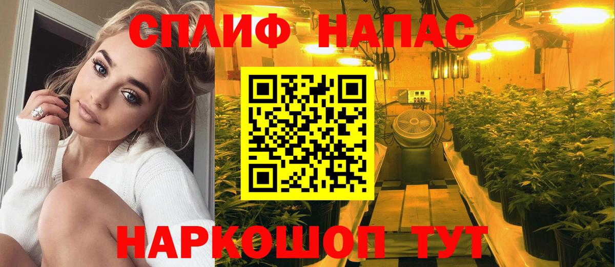 Канабис Amnesia Видное